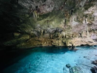 cenote-playa-del-carmen-jungle-image