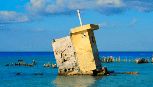 Holbox-ile-naturelle-image