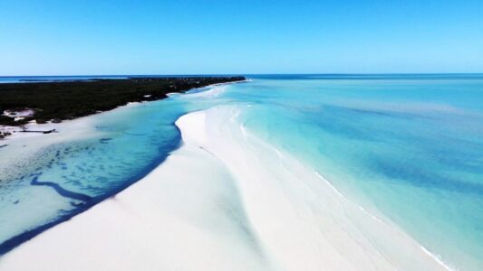 Holbox-ile-punta-mosquito-image