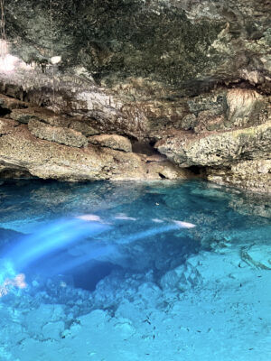 Jungle-Cenote-image