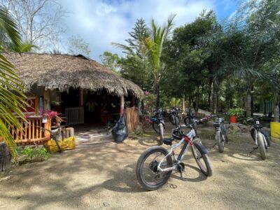 Jungle-velo-electric-nature-image