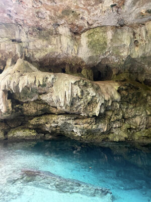 cenote-jungle-playa-del-carmen-image