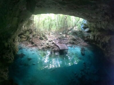 jungle-cenote-plongee-image