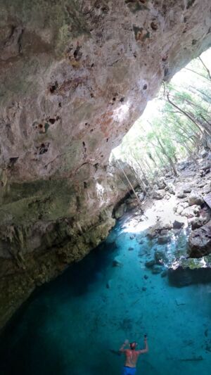 jungle-cenote-playa-del-carmen-image