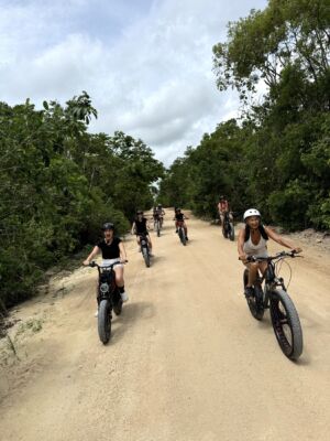 Bike-electric-jungle-image