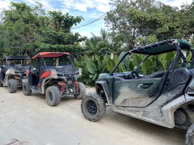 Buggy-extreme-sport-jungle-image