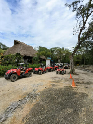 Buggy-jungle-extreme-sport-image