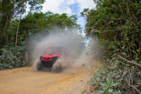 Buggy-jungle-sport-image