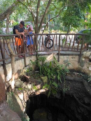 Cenote-playa-del-carmen-image