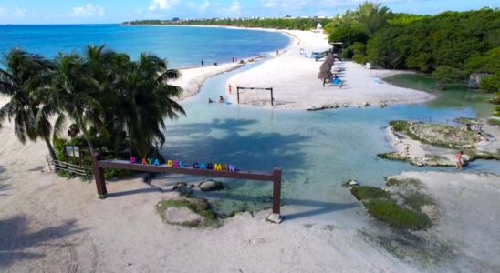 Cenote-punta-esmeralda-playa-del-carmen-image