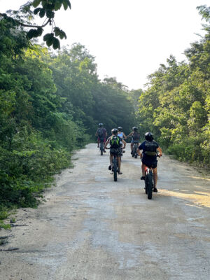 electric-bike-jungle-image