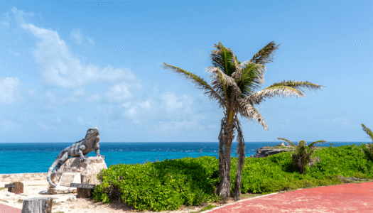 Isla-mujeres-punta-sur-iguane-image