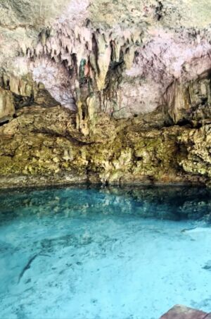 Jungle-cenote-image