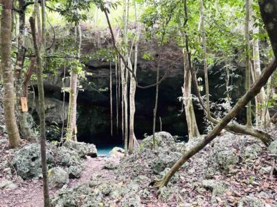 jungle-cenote-mexico-image