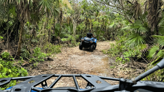 Jungle-quad-extreme-image