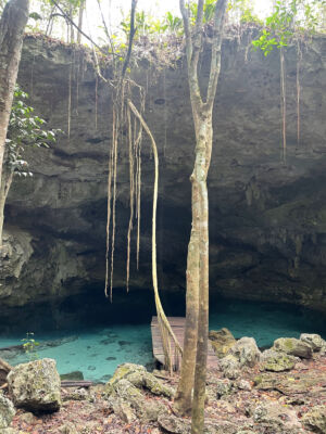 nature-cenote-jungle-image