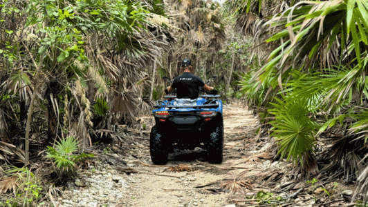 Quad-extreme-jungle-sports-image