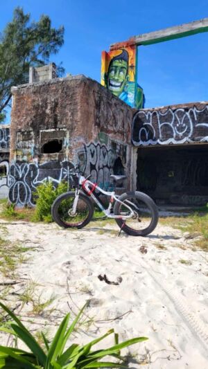 Velo-bike-graffiti-image