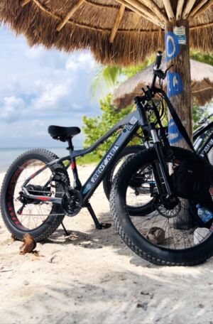 Velo-electrique-bike-plage-image