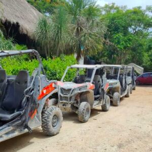 jungle buggy excursion image