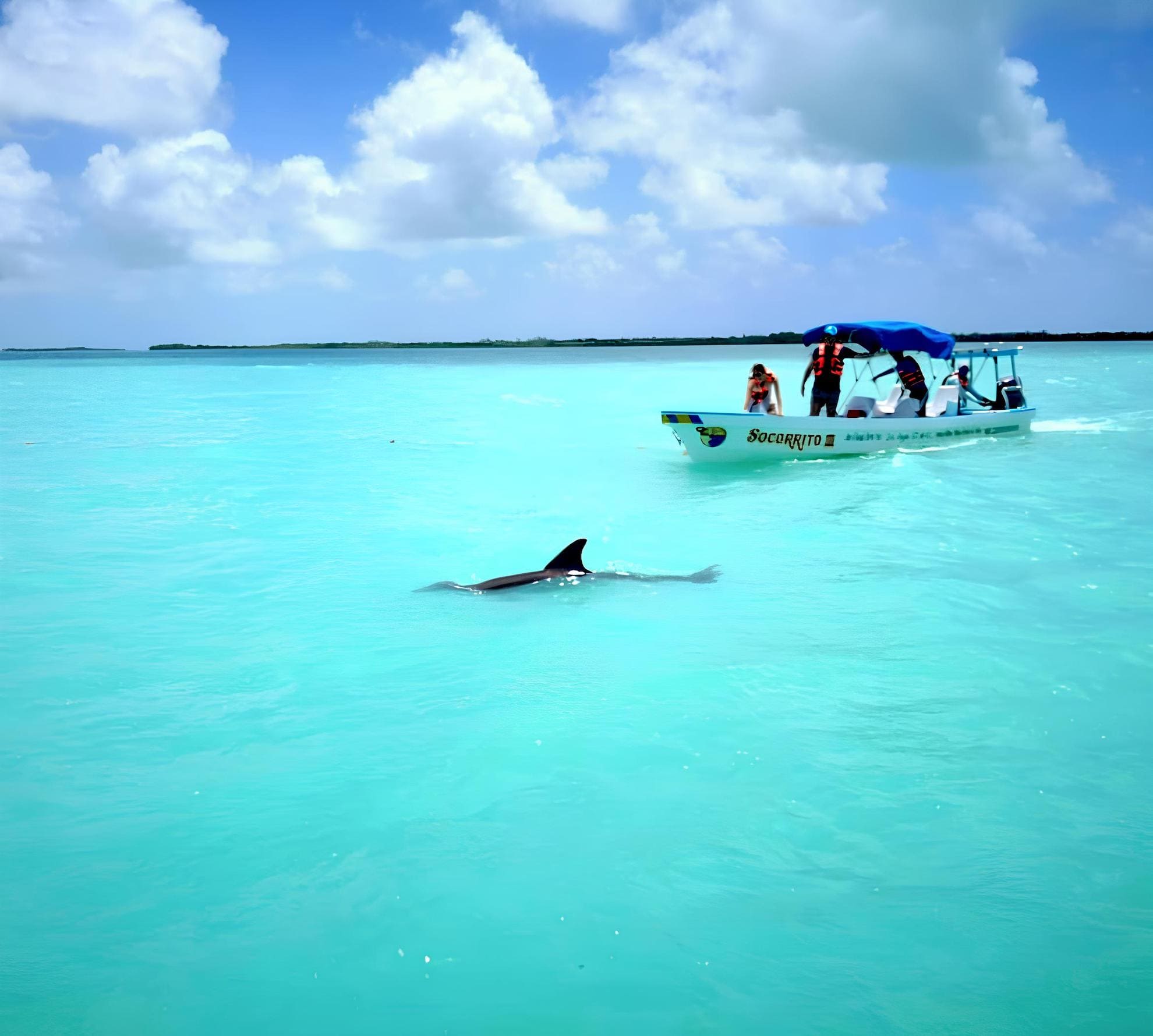 excursion playa del carmen nature image