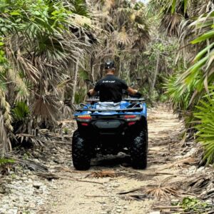 quad extreme jungle sports image